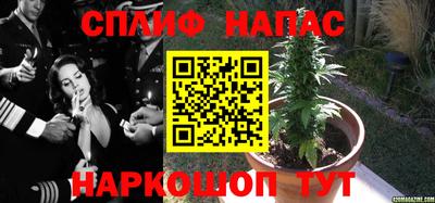 бошки Рязань