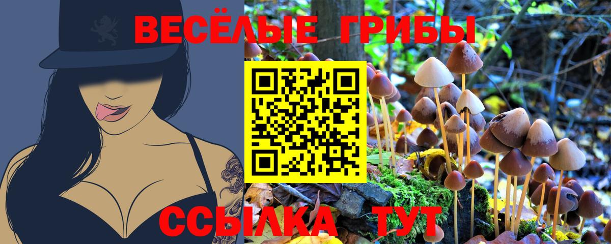 Псков  Галлюциногенные грибы Cubensis  где продают наркотики  Галлюциногенные грибы Psilocybine cubensis  Вход с VPN 